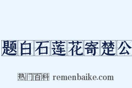 题白石莲花寄楚公是什么意思的图片